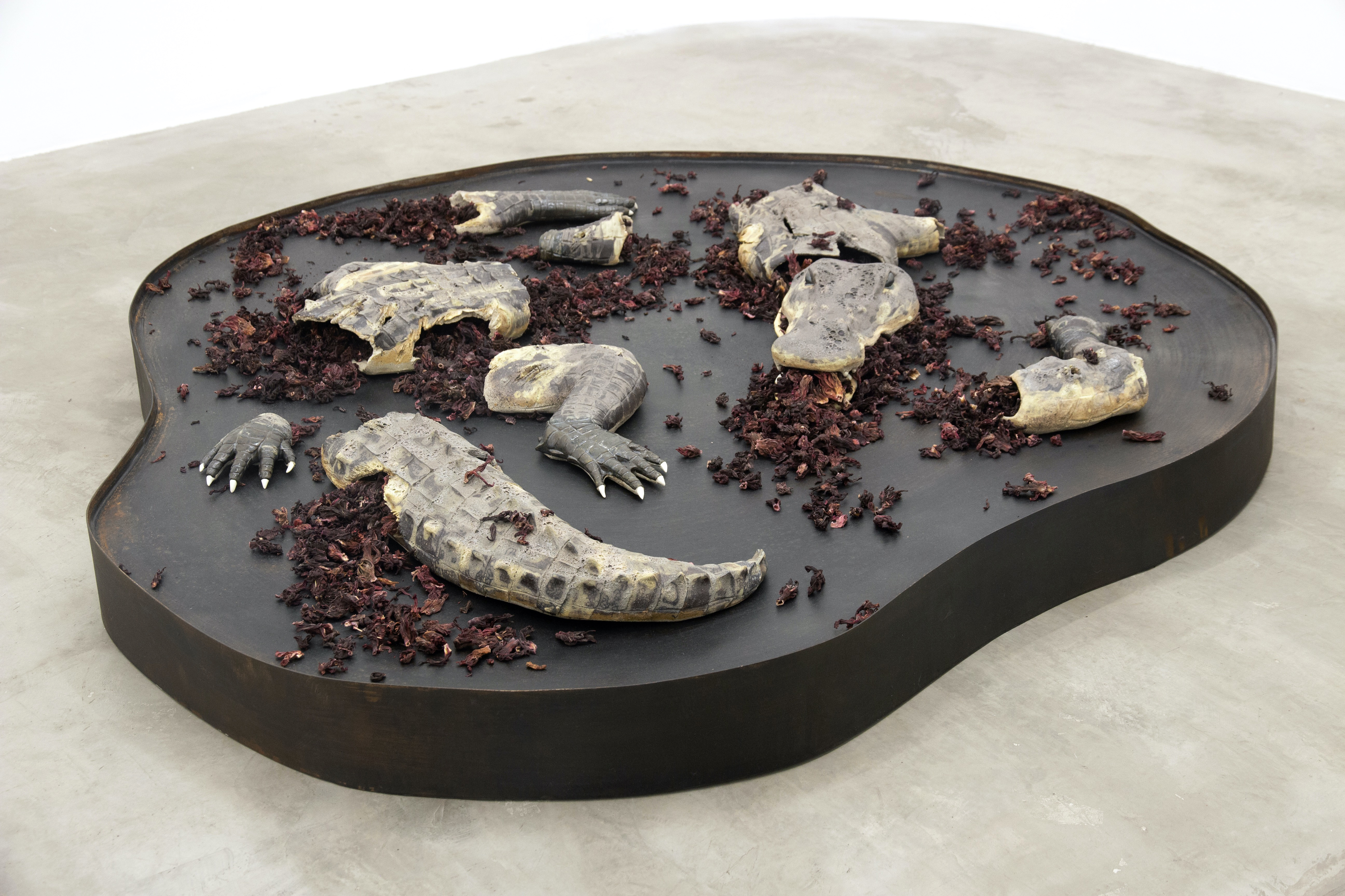 Installation view at guadalajara90210, Mexico City 2025